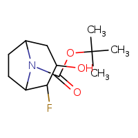 tert-butyl 2-fluoro-3-hydroxy-8-azabicyclo[3.2.1]octane-8-carboxylate