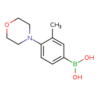 3-methyl-4-(morpholin-4-yl)phenylboronic acid