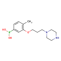 4-methyl-3-[3-(piperazin-1-yl)propoxy]phenylboronic acid