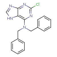 N,N-dibenzyl-2-chloro-7H-purin-6-amine