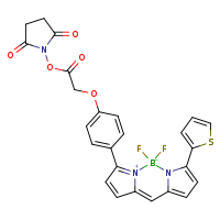 12-(4-{2-[(2,5-dioxopyrrolidin-1-yl)oxy]-2-oxoethoxy}phenyl)-2,2-difluoro-4-(thiophen-2-yl)-1??,3-diaza-2-boratricyclo[7.3.0.0³,?]dodeca-1(12),4,6,8,10-pentaen-1-ylium-2-uide