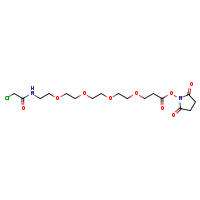 2,5-dioxopyrrolidin-1-yl 1-(2-chloroacetamido)-3,6,9,12-tetraoxapentadecan-15-oate