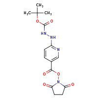 2,5-dioxopyrrolidin-1-yl 6-{[(tert-butoxycarbonyl)amino]amino}pyridine-3-carboxylate