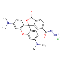 [3',6'-bis(dimethylamino)-3-oxospiro[2-benzofuran-1,9'-xanthen]-6-ylformamido]azanium chloride