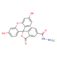 {3',6'-dihydroxy-3-oxospiro[2-benzofuran-1,9'-xanthen]-5-ylformamido}azanium chloride