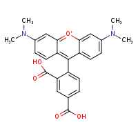 9-(2,4-dicarboxyphenyl)-3,6-bis(dimethylamino)-10??-xanthen-10-ylium