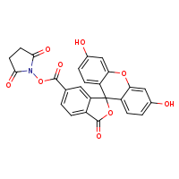 carboxyfluorescein succinimidyl ester