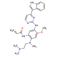N-(2-{[2-(dimethylamino)ethyl](methyl)amino}-5-{[4-(1H-indol-3-yl)pyrimidin-2-yl]amino}-4-methoxyphenyl)prop-2-enamide