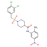 1-[(3,4-dichlorophenyl)methanesulfonyl]-N-(2-methyl-5-nitrophenyl)piperidine-4-carboxamide