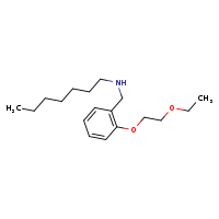 {[2-(2-ethoxyethoxy)phenyl]methyl}(heptyl)amine