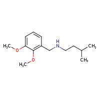 [(2,3-dimethoxyphenyl)methyl](3-methylbutyl)amine