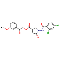 2-(3-methoxyphenyl)-2-oxoethyl 1-(2,4-dichlorobenzamido)-5-oxopyrrolidine-3-carboxylate