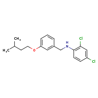2,4-dichloro-N-{[3-(3-methylbutoxy)phenyl]methyl}aniline