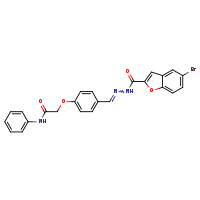 2-{4-[(E)-{[(5-bromo-1-benzofuran-2-yl)formamido]imino}methyl]phenoxy}-N-phenylacetamide