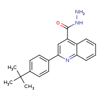 2-(4-tert-butylphenyl)quinoline-4-carbohydrazide