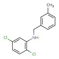 2,5-dichloro-N-[(3-methylphenyl)methyl]aniline