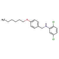 2,5-dichloro-N-{[4-(hexyloxy)phenyl]methyl}aniline