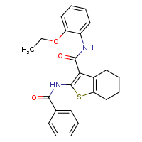 2-benzamido-N-(2-ethoxyphenyl)-4,5,6,7-tetrahydro-1-benzothiophene-3-carboxamide