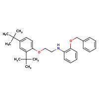 2-(benzyloxy)-N-[2-(2,4-di-tert-butylphenoxy)ethyl]aniline