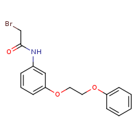 2-bromo-N-[3-(2-phenoxyethoxy)phenyl]acetamide