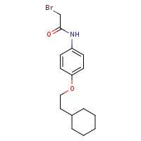 2-bromo-N-[4-(2-cyclohexylethoxy)phenyl]acetamide