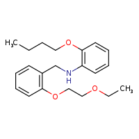 2-butoxy-N-{[2-(2-ethoxyethoxy)phenyl]methyl}aniline