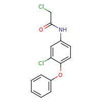 2-chloro-N-(3-chloro-4-phenoxyphenyl)acetamide