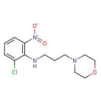 2-chloro-N-[3-(morpholin-4-yl)propyl]-6-nitroaniline
