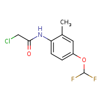 2-chloro-N-[4-(difluoromethoxy)-2-methylphenyl]acetamide