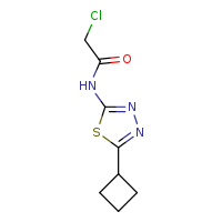 2-chloro-N-(5-cyclobutyl-1,3,4-thiadiazol-2-yl)acetamide