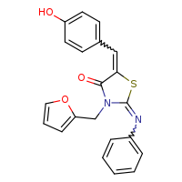 (2E,5E)-3-(furan-2-ylmethyl)-5-[(4-hydroxyphenyl)methylidene]-2-(phenylimino)-1,3-thiazolidin-4-one