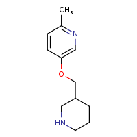 2-methyl-5-(piperidin-3-ylmethoxy)pyridine