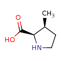 (2R,3S)-3-methylpyrrolidine-2-carboxylic acid