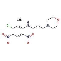 3-chloro-2-methyl-N-[3-(morpholin-4-yl)propyl]-4,6-dinitroaniline