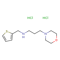 [3-(morpholin-4-yl)propyl](thiophen-2-ylmethyl)amine dihydrochloride