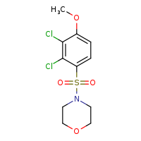 4-(2,3-dichloro-4-methoxybenzenesulfonyl)morpholine