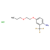 4-(2-propoxyethoxy)-2-(trifluoromethyl)aniline hydrochloride