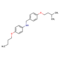 4-butoxy-N-{[4-(3-methylbutoxy)phenyl]methyl}aniline