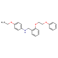 4-ethoxy-N-{[2-(2-phenoxyethoxy)phenyl]methyl}aniline