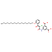 5-{2-chloro-3-hydroxy-3-[2-(octadecyloxy)phenyl]prop-2-enamido}benzene-1,3-dicarboxylic acid
