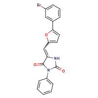 (5E)-5-{[5-(3-bromophenyl)furan-2-yl]methylidene}-3-phenylimidazolidine-2,4-dione