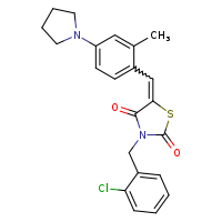 (5Z)-3-[(2-chlorophenyl)methyl]-5-{[2-methyl-4-(pyrrolidin-1-yl)phenyl]methylidene}-1,3-thiazolidine-2,4-dione