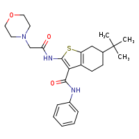 6-tert-butyl-2-[2-(morpholin-4-yl)acetamido]-N-phenyl-4,5,6,7-tetrahydro-1-benzothiophene-3-carboxamide