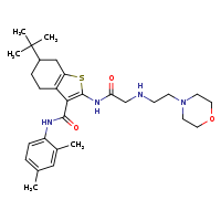 6-tert-butyl-N-(2,4-dimethylphenyl)-2-(2-{[2-(morpholin-4-yl)ethyl]amino}acetamido)-4,5,6,7-tetrahydro-1-benzothiophene-3-carboxamide