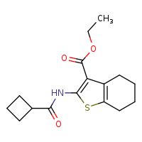 ethyl 2-cyclobutaneamido-4,5,6,7-tetrahydro-1-benzothiophene-3-carboxylate