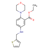 ethyl 2-(morpholin-4-yl)-5-[(thiophen-2-ylmethyl)amino]benzoate