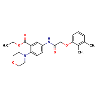 ethyl 5-[2-(2,3-dimethylphenoxy)acetamido]-2-(morpholin-4-yl)benzoate