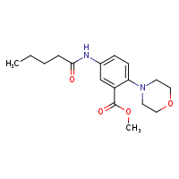 methyl 2-(morpholin-4-yl)-5-pentanamidobenzoate