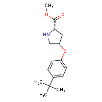 methyl (2S,4S)-4-(4-tert-butylphenoxy)pyrrolidine-2-carboxylate