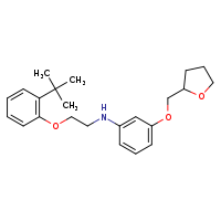N-[2-(2-tert-butylphenoxy)ethyl]-3-(oxolan-2-ylmethoxy)aniline